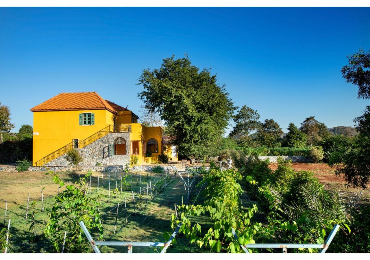 Davinci Di Khaoyai Hotel Mu Si Ngoại thất bức ảnh