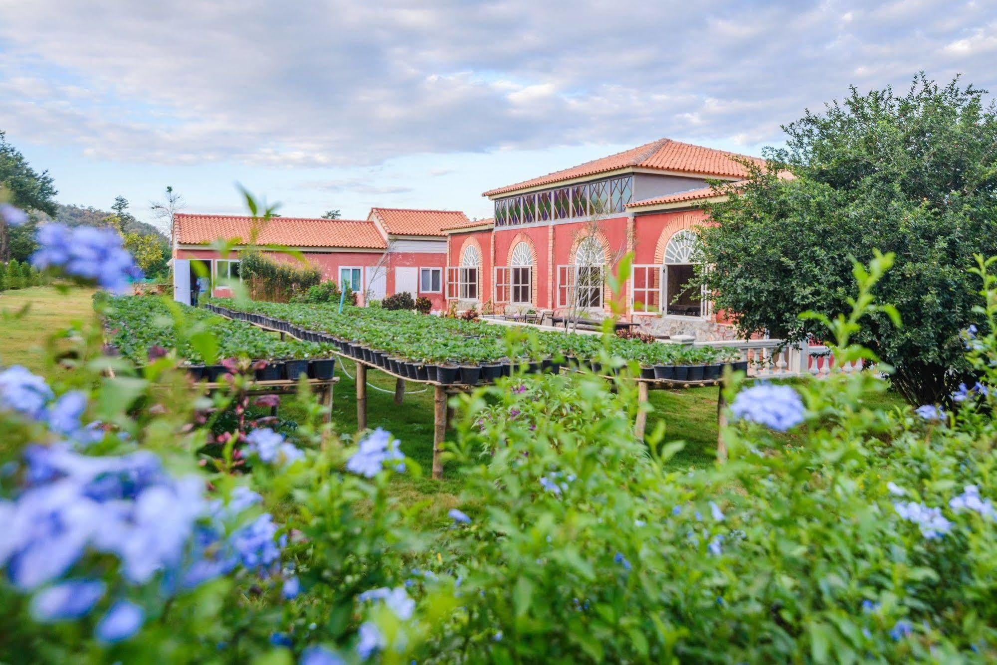 Davinci Di Khaoyai Hotel Mu Si Ngoại thất bức ảnh