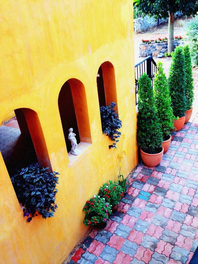Davinci Di Khaoyai Hotel Mu Si Ngoại thất bức ảnh